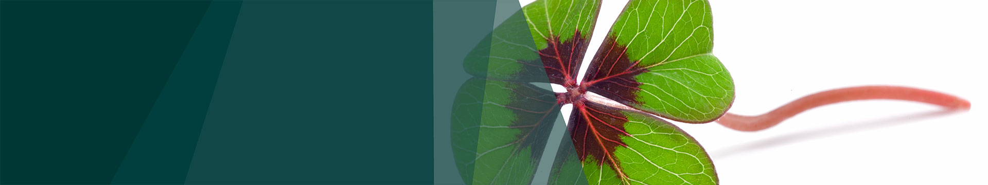 Jetzt 20 % Neujahrsbonus bei der Wiener Börse Akademie sichern